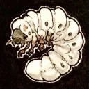 haiyowvni