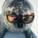 Дмитрий Болгаркин(АОСГНиФ)