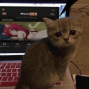 Discord Avatar
