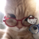 avatar 𓆩𝐼𝓏𝓏𝓎𓆪💋