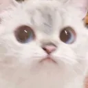 m._._.m