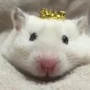 rodentking_1