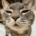 umgekippterbyskiller avatar