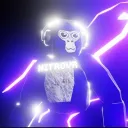 nitr0vrgtag