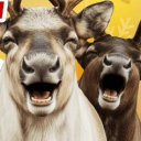 avatar トナカイ(Noise)