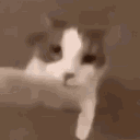 zugxy