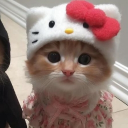 avatar 𝕭𝒍𝒐𝒔𝒔𝒐𝒎