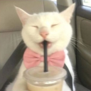 avatar 𝕭𝒍𝒐𝒔𝒔𝒐𝒎