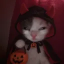 dabbinkitten