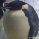 tyronthemaker
