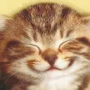meowfuture
