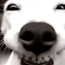 soycaballomejeee avatar