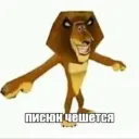 Аватар skwaizzek