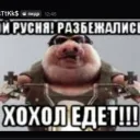 rikardokakka