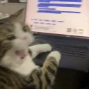 linxnext