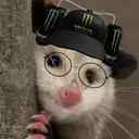 possumwthrabiez