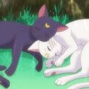 avatar Luna🖤🤍🌙