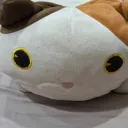 fixzl