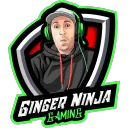 gingerninjagaming