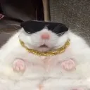 Аватар barsioc