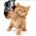 Аватар artem_02829