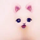 s4ltyy.y