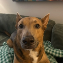 avatar bekachu🍒💜