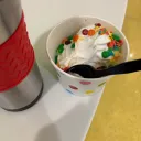 v0g9