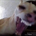 avatar 𝓁𝒶𝓇𝒷𝒾