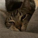 avatar 𝓁𝒶𝓇𝒷𝒾