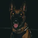 angel.limbed