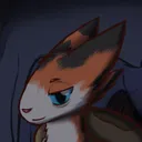doctorcalico