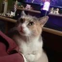 kati_lill