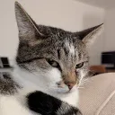 Stormie3609