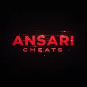 ansari2649