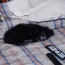 elmascaporonga_600 avatar