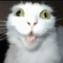 avatar 너구리 잡아먹는 사람