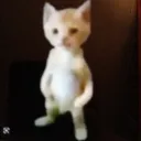 kittymen0536