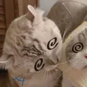 deceased_artist avatar