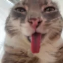 dostavkadildakov avatar