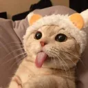 ejvus.rr