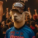 limmylammyllama