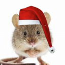 Profilbild för dra inte ut