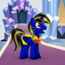 nightshield.