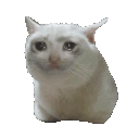 mandamilo
