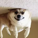 reapercreapster1