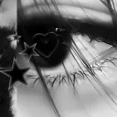 thebrokenrose_ avatar