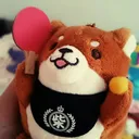 pingpongshiba
