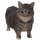 crypter_