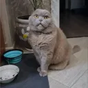 Аватар xanverty